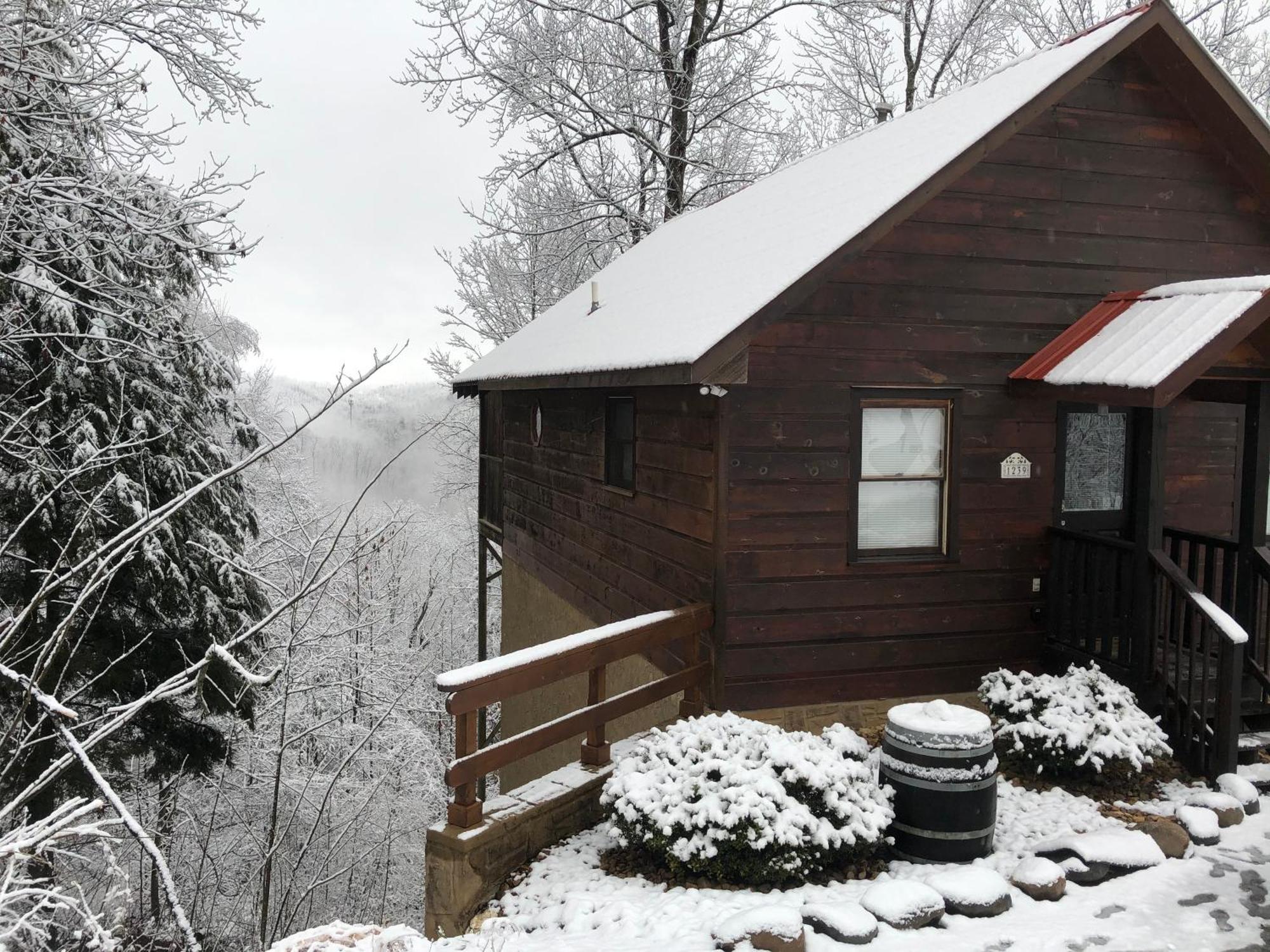 Black Bear Cove Gatlinburg Buitenkant foto