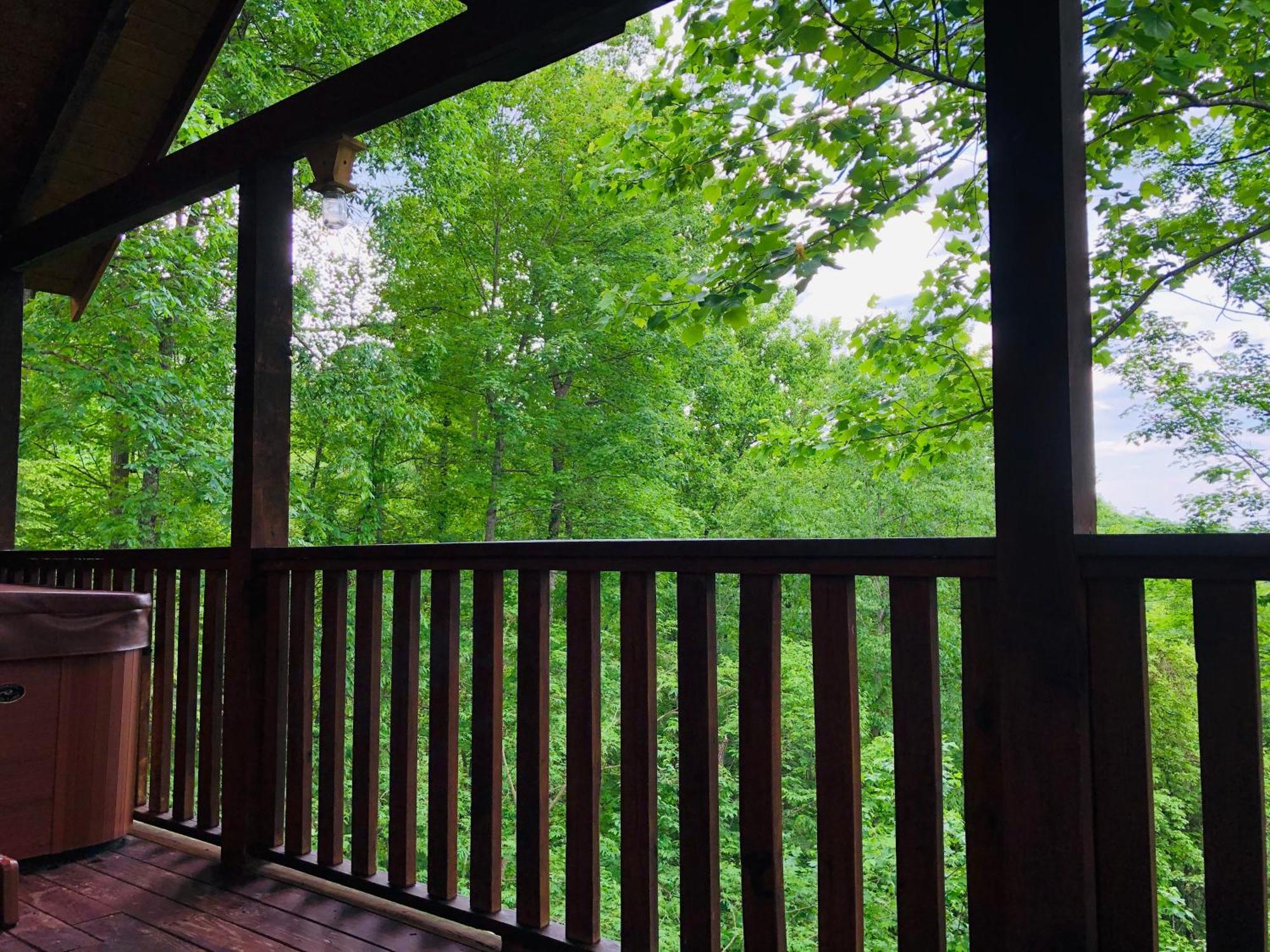 Black Bear Cove Gatlinburg Buitenkant foto