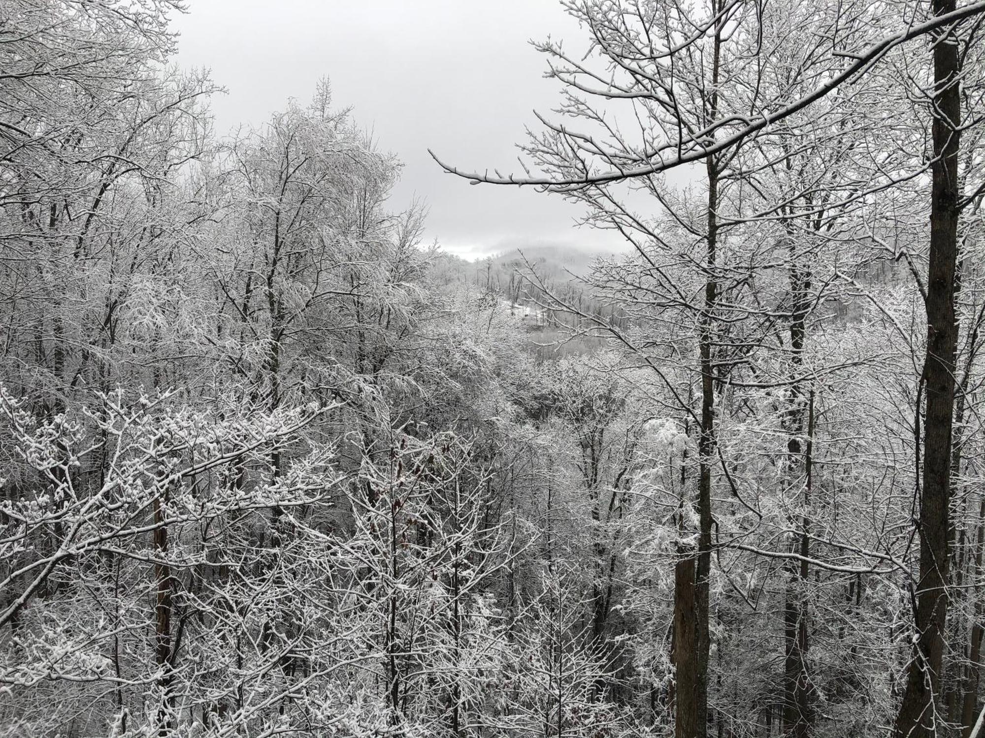 Black Bear Cove Gatlinburg Buitenkant foto